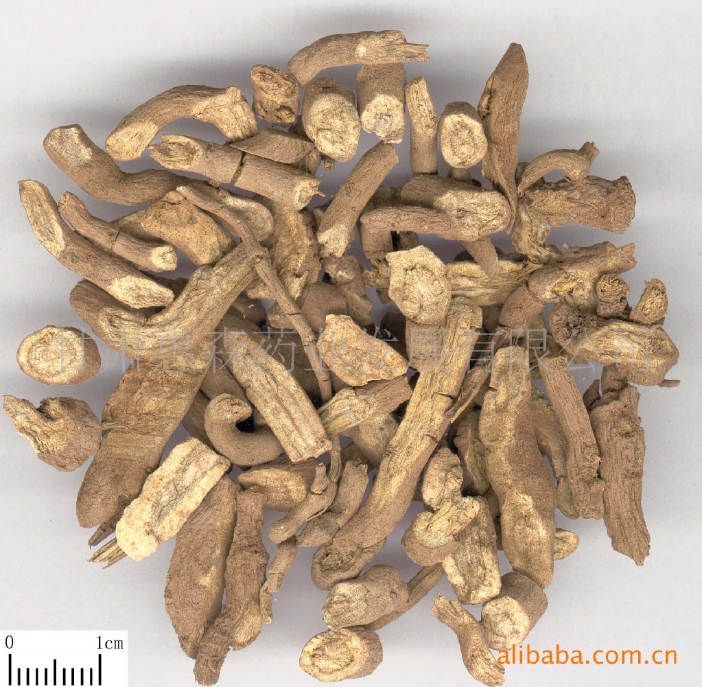 中药饮片-马兜铃-中药饮片尽在阿里巴巴-甘肃惠森药业发展有限公司