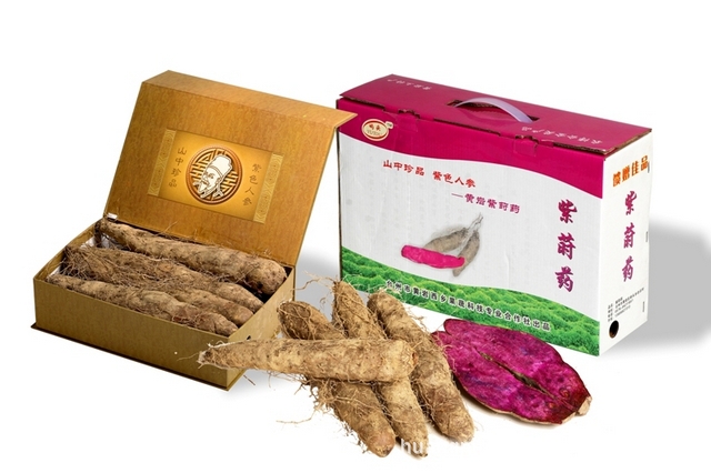 黄岩紫莳药-「根块,根茎类」-马可波罗网