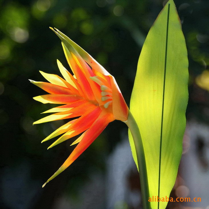 岁末新品 超大号天堂鸟花鹤望兰仿真花装饰花假花插花高仿