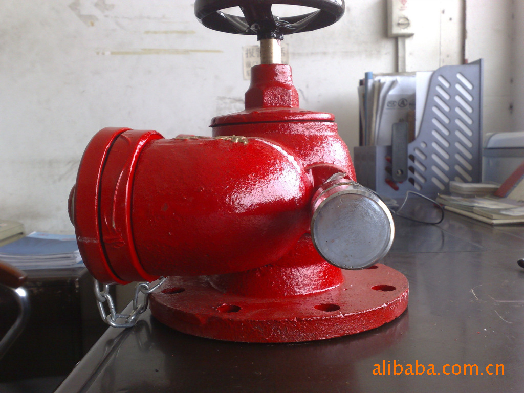 厂家直销水泵接合器sqd100-1.