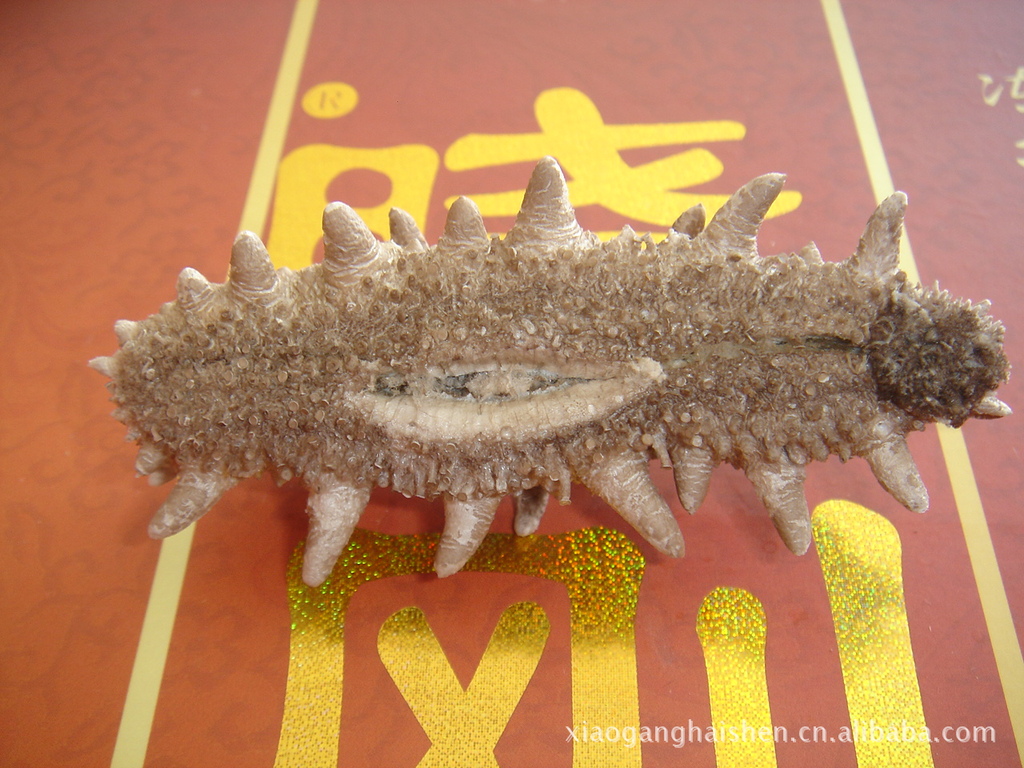 青岛晓刚fd宇航冻干海参 即食海参 野生海参 fd冻干 营养保留完整