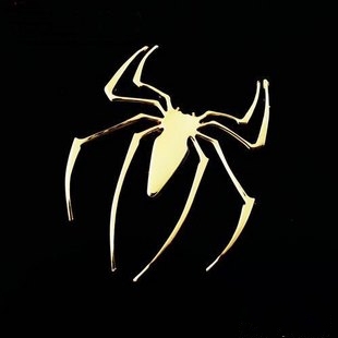 金色黑色相间的蜘蛛图片