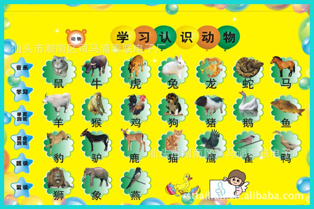 内容2-1(动物世界)