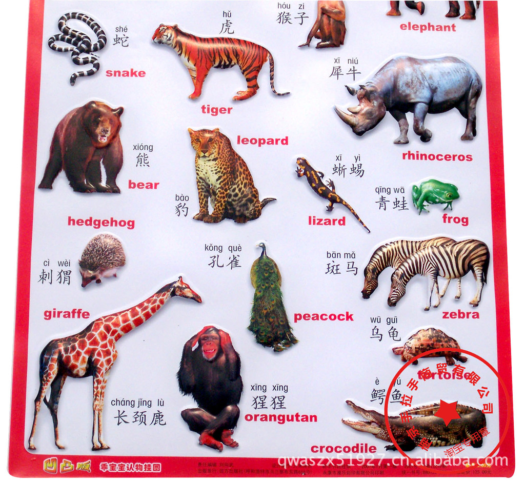 动物世界图片及名字图片