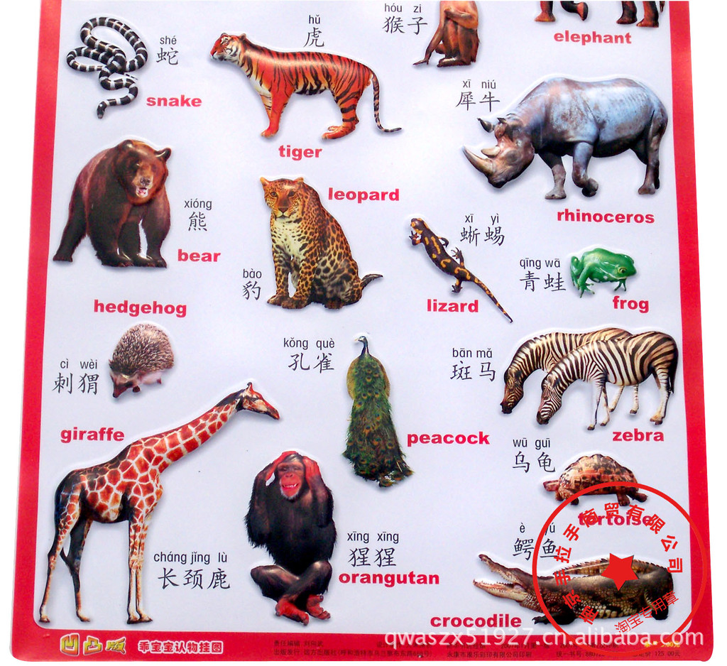看动物世界专柜正版乖宝宝学习挂图婴幼儿早教挂图凹凸版
