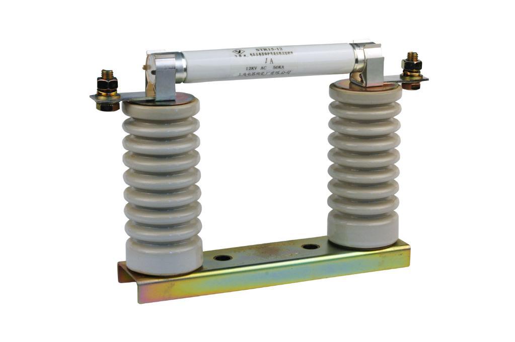 厂家批发直销 rn高压熔断器 供应各优质熔断器 恩熔