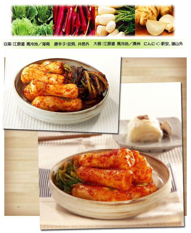 韩国泡菜冰箱/恒温冰箱/泡菜柜fr-n21kxcw