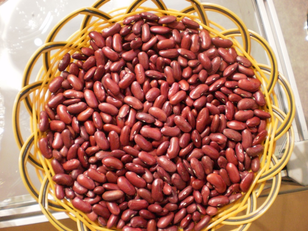 [hl-c02]英国红芸豆