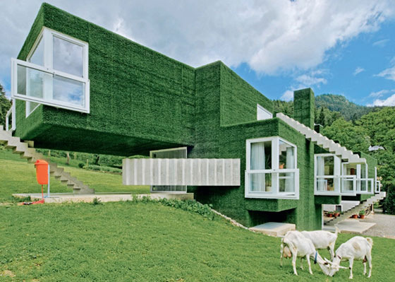 第一眼整个给人感觉清新,自然,除了白色的窗,楼梯,整个外墙都是绿色的