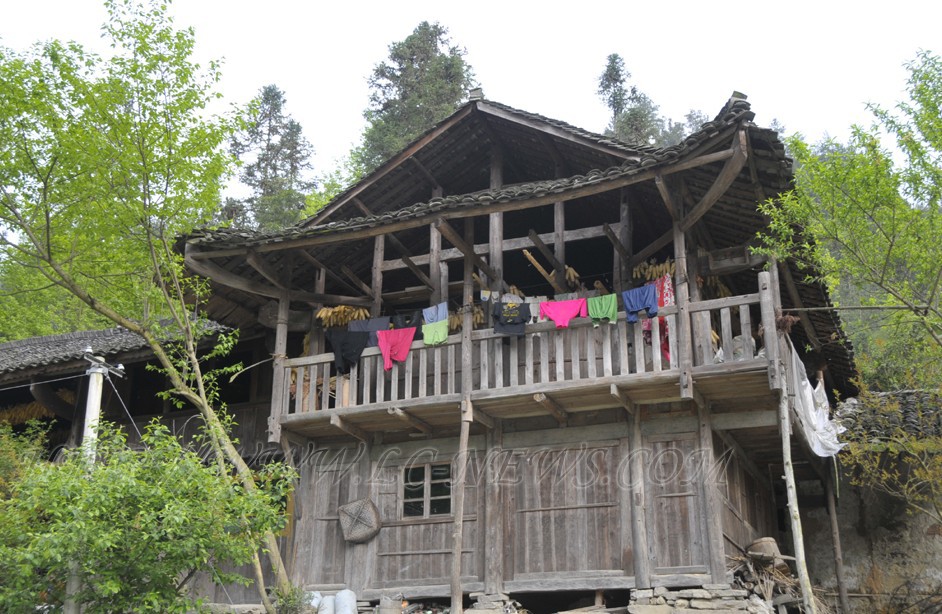 【房子随手拍】  古老的木房 养育着世世代代