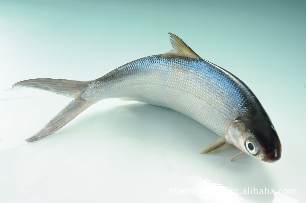 台湾特产 台湾食品 进口食品 台湾状元鱼 虱目鱼 鲔鱼松 海苔口味