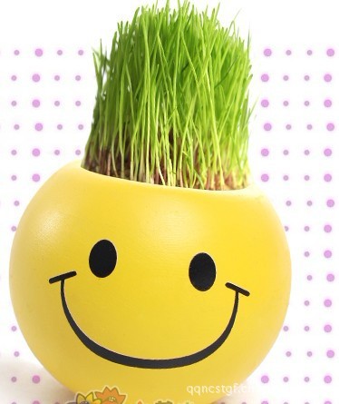 qq表情长04款微笑草娃娃休闲减压绿植 办公室迷你植物 多表情