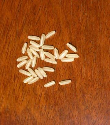 供应高产,抗病,优质杂交水稻种川谷优203_粮食作物种子_列表网