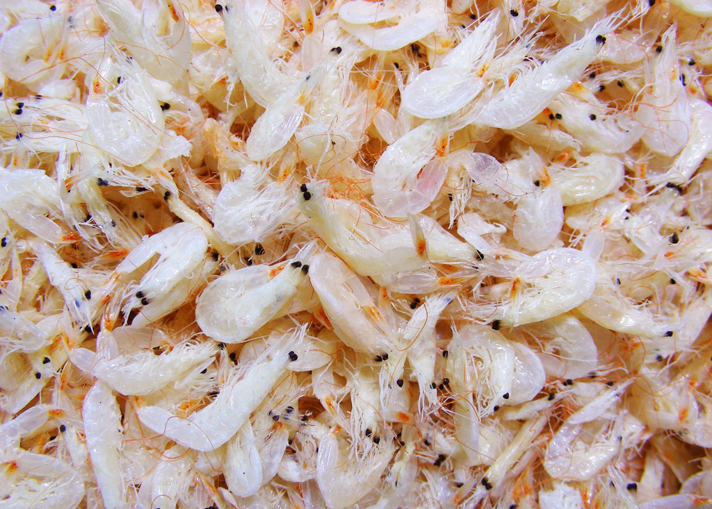 批发供应 特级优质 虾米/海米/ 虾皮