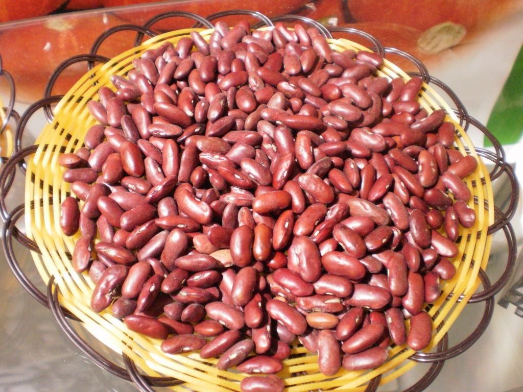 [hl-c02]英国红芸豆