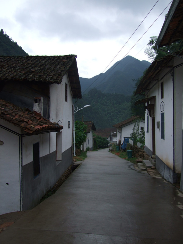 【我的家乡美啊】 令人留恋的张溪村 衢州市海川农业科技有限公司