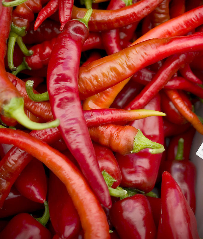 辛辣蔬菜 天然蔬菜 优质新鲜 炒菜必备 尖红辣椒 精选红朝天椒