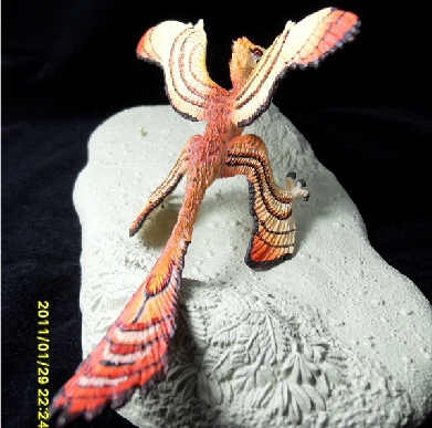 美国safari正品中华小盗龙恐龙玩具 卡耐基博物馆恐龙收藏系列