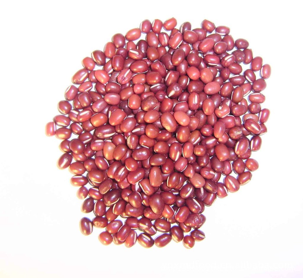 特别推荐 厂家批量直销散装红豆 红小豆 量大从优价格实惠
