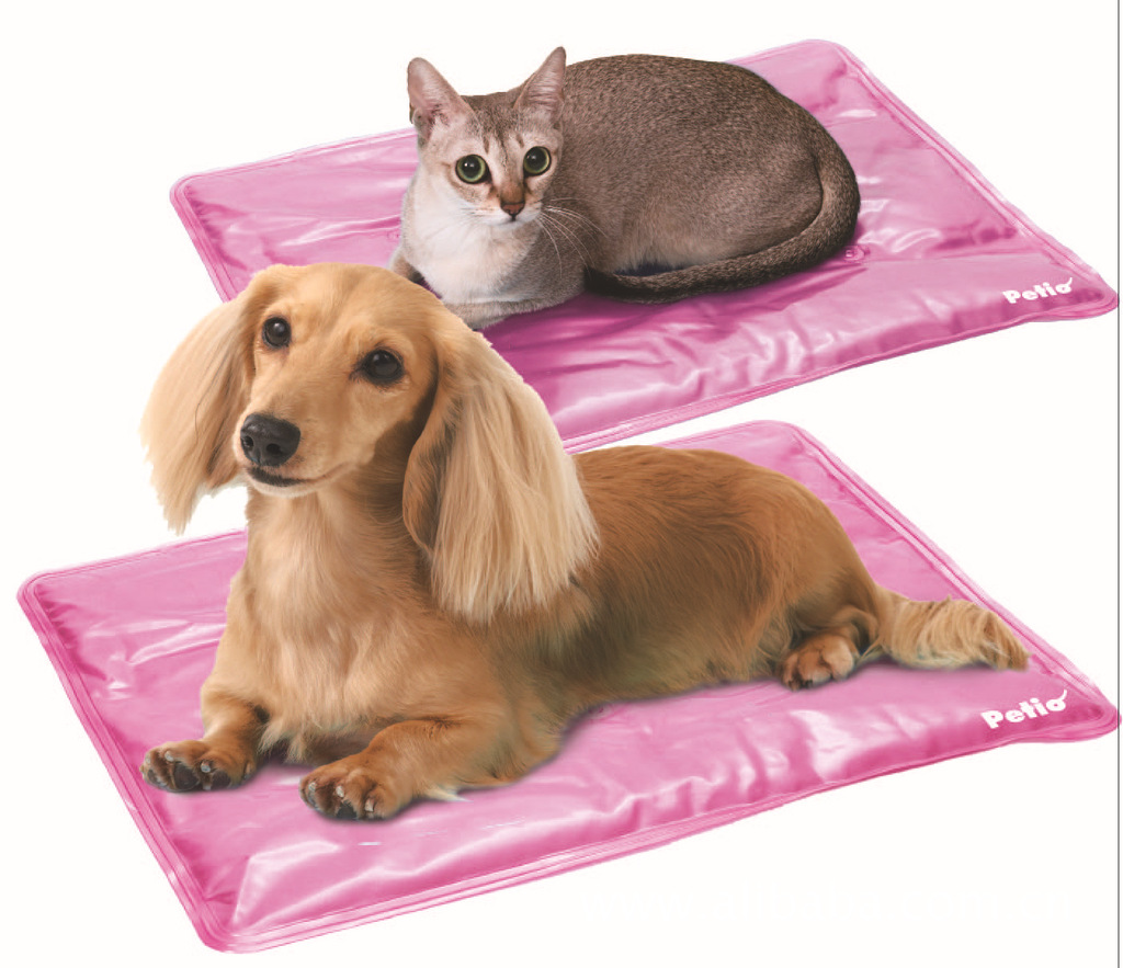 宠物凉席 宠物冰床 宠物冰垫 狗凉席 狗床 pet mat 狗枕头dog图片_4