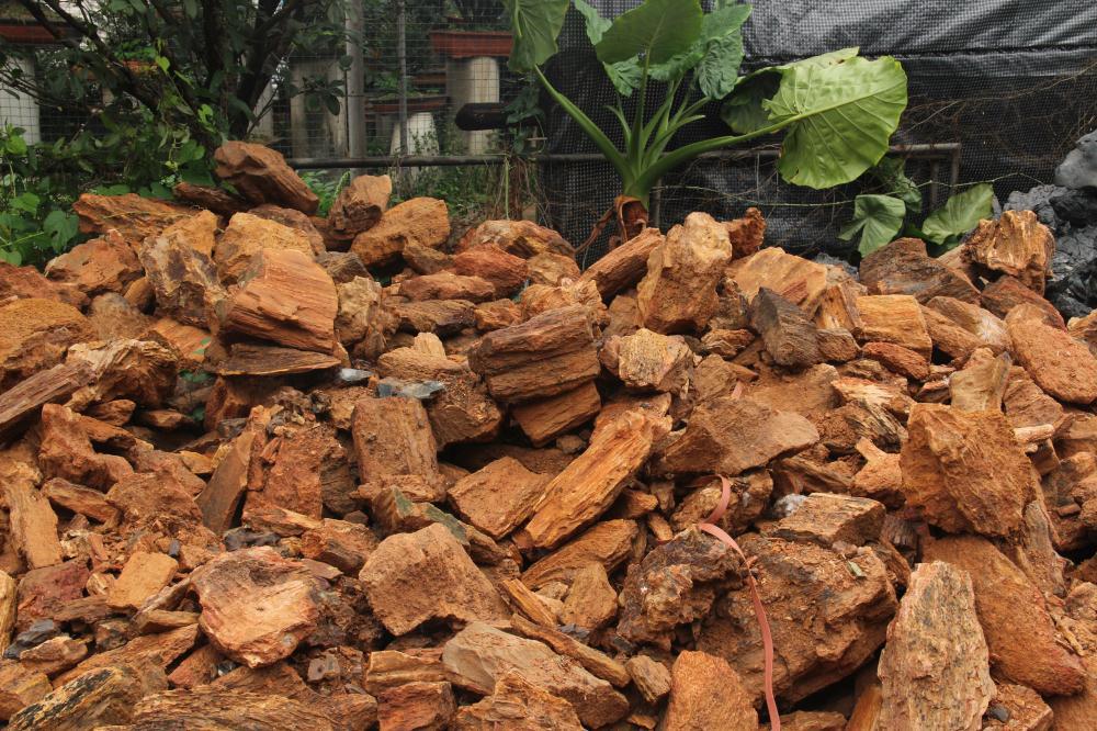 2元一斤水族造景石木化石