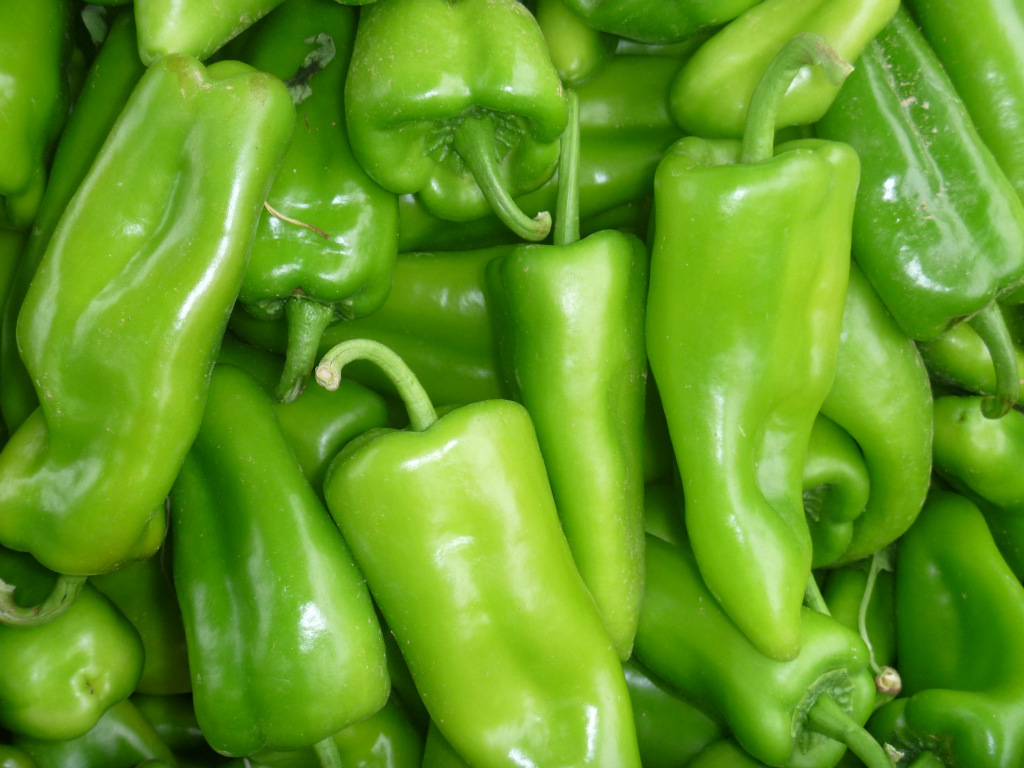 味香轻辣,肉质敦厚,适合市场销售,腌制各种酱菜辣椒