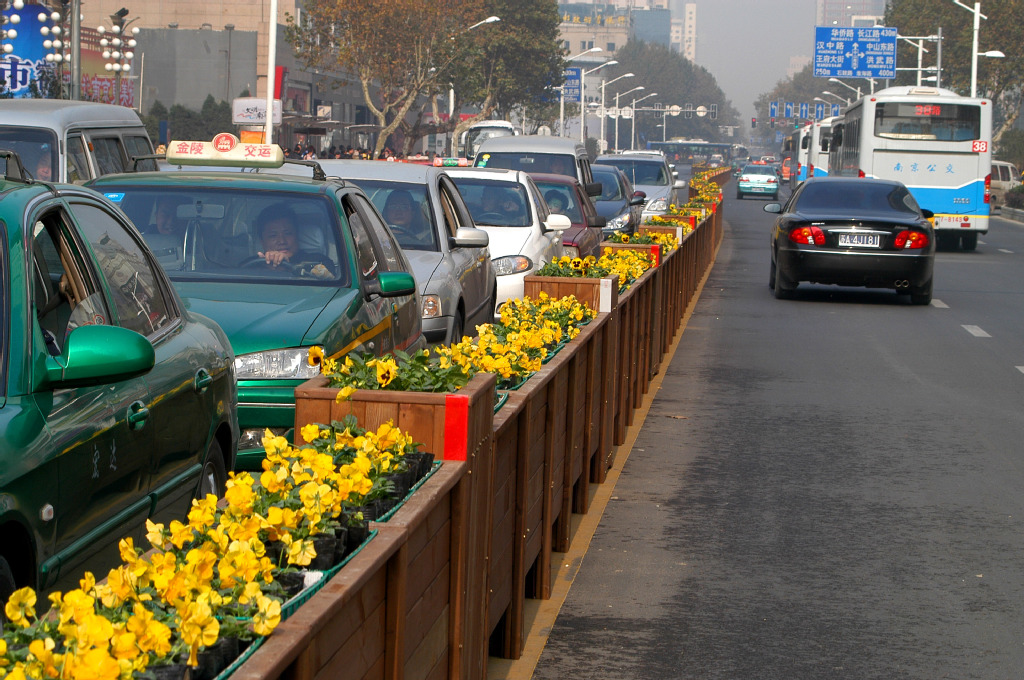 城市道路隔离带花箱图片