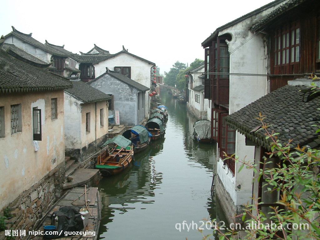 苏州冯月月图片图片