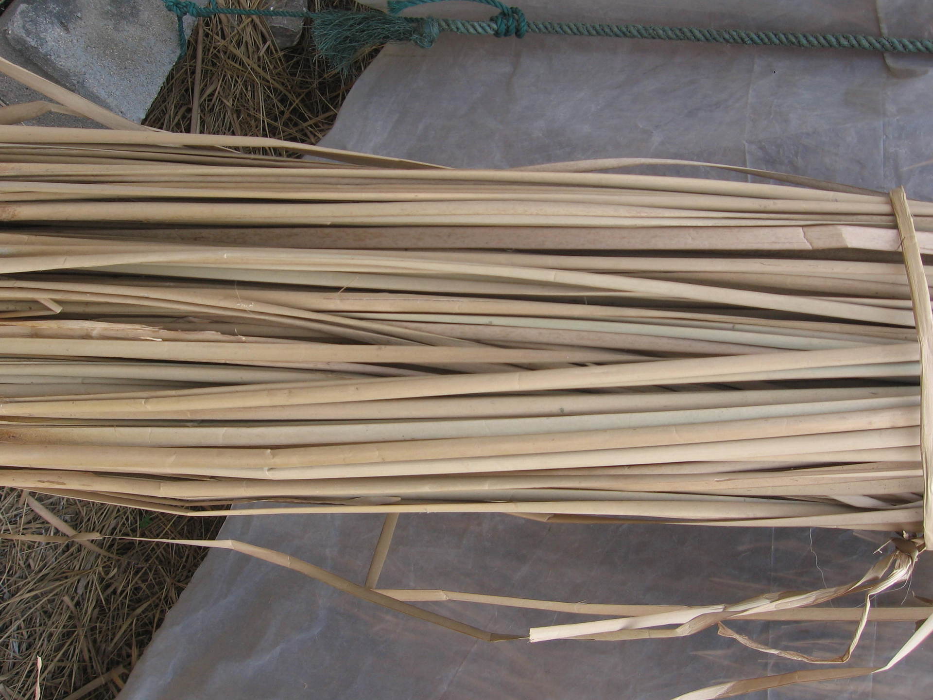 特价)供应优质江草蒲草原料