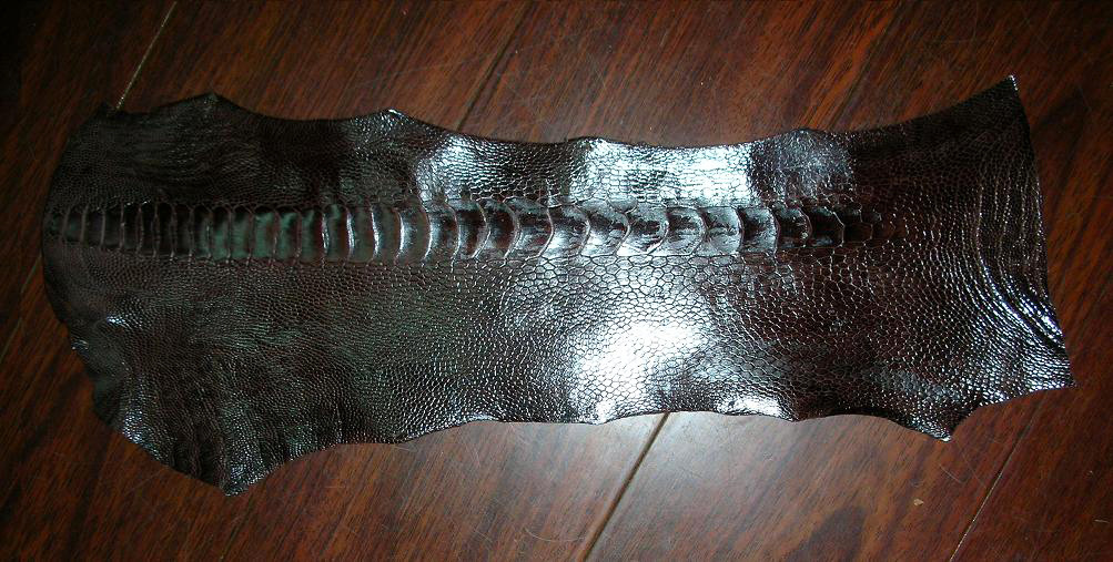 优质鸵鸟腿皮 鸵鸟脚皮 鸵鸟皮批发零售