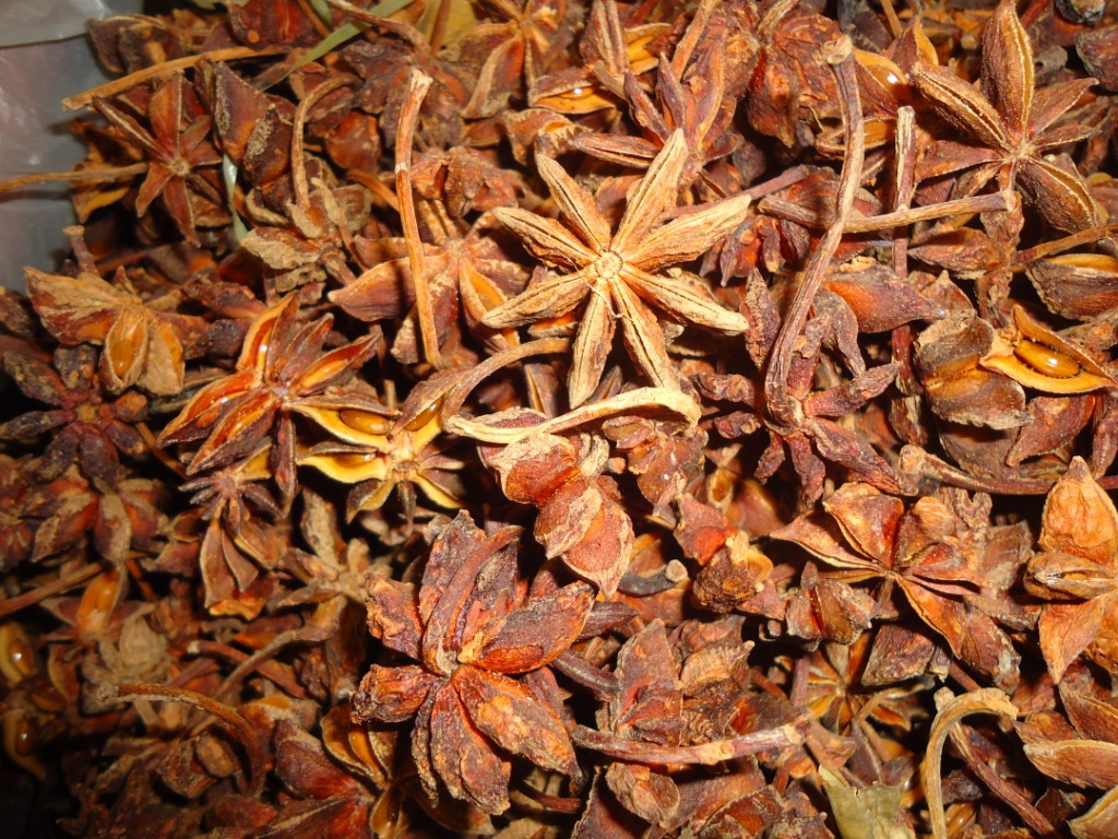 四川八角500g 精选青绿色无杂质茴香 八角山奈香料冒菜底料