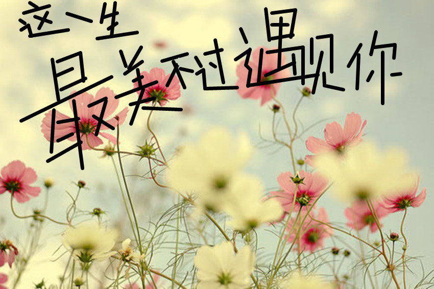 你永远是我最美的风景.