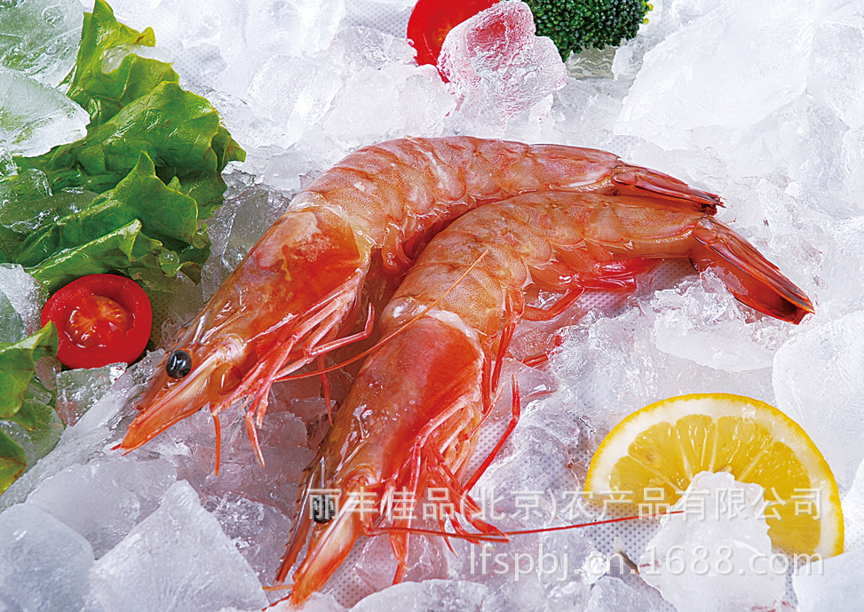 海捕水晶明虾