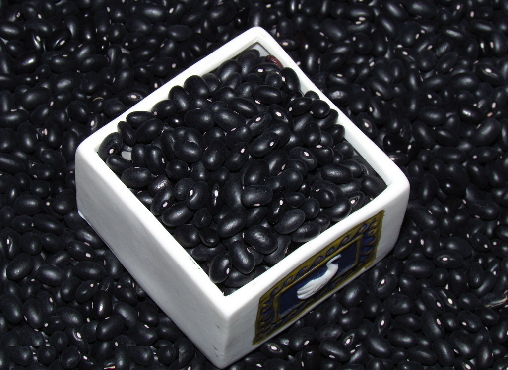 【东北黑豆 绿色有机食品 优质健康】价格,厂家,图片,豆类作物,吉林省