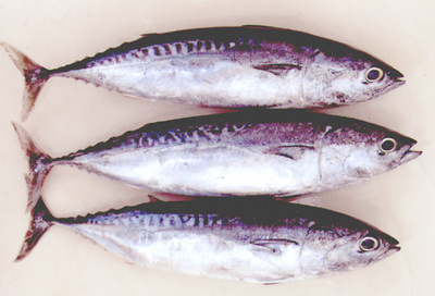 纹路清晰细致,完整而不细碎者,最好能将鲣鱼片凑近闻闻或放入嘴巴咀嚼