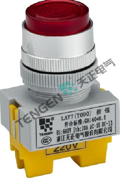 直销天正 按钮开关lay7-11dn 带灯按钮(y090)