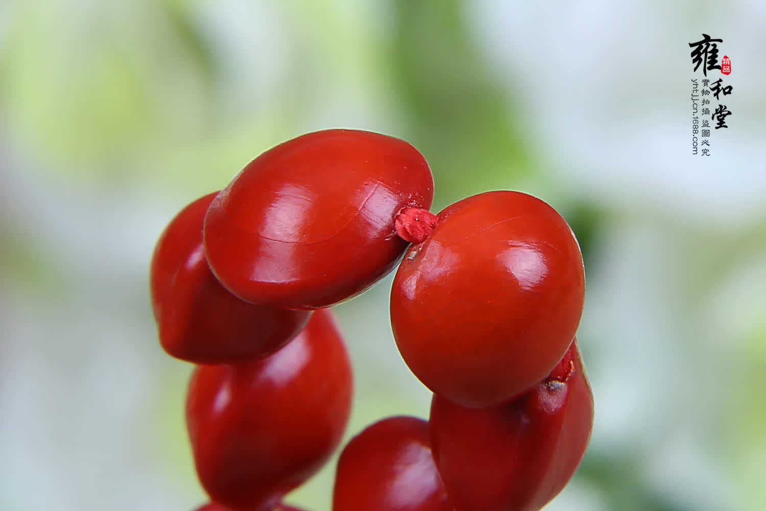 厂家直销饰品批发 血菩提子佛珠 手链手饰手串 小礼物
