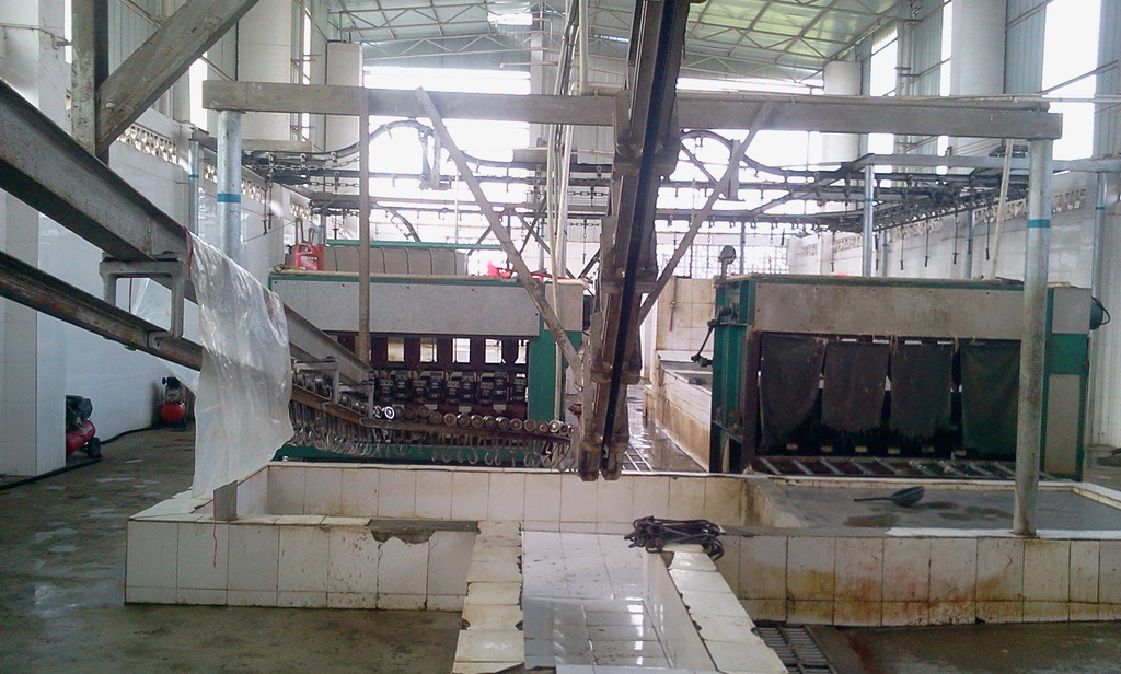 供应生猪屠宰生产线(图)