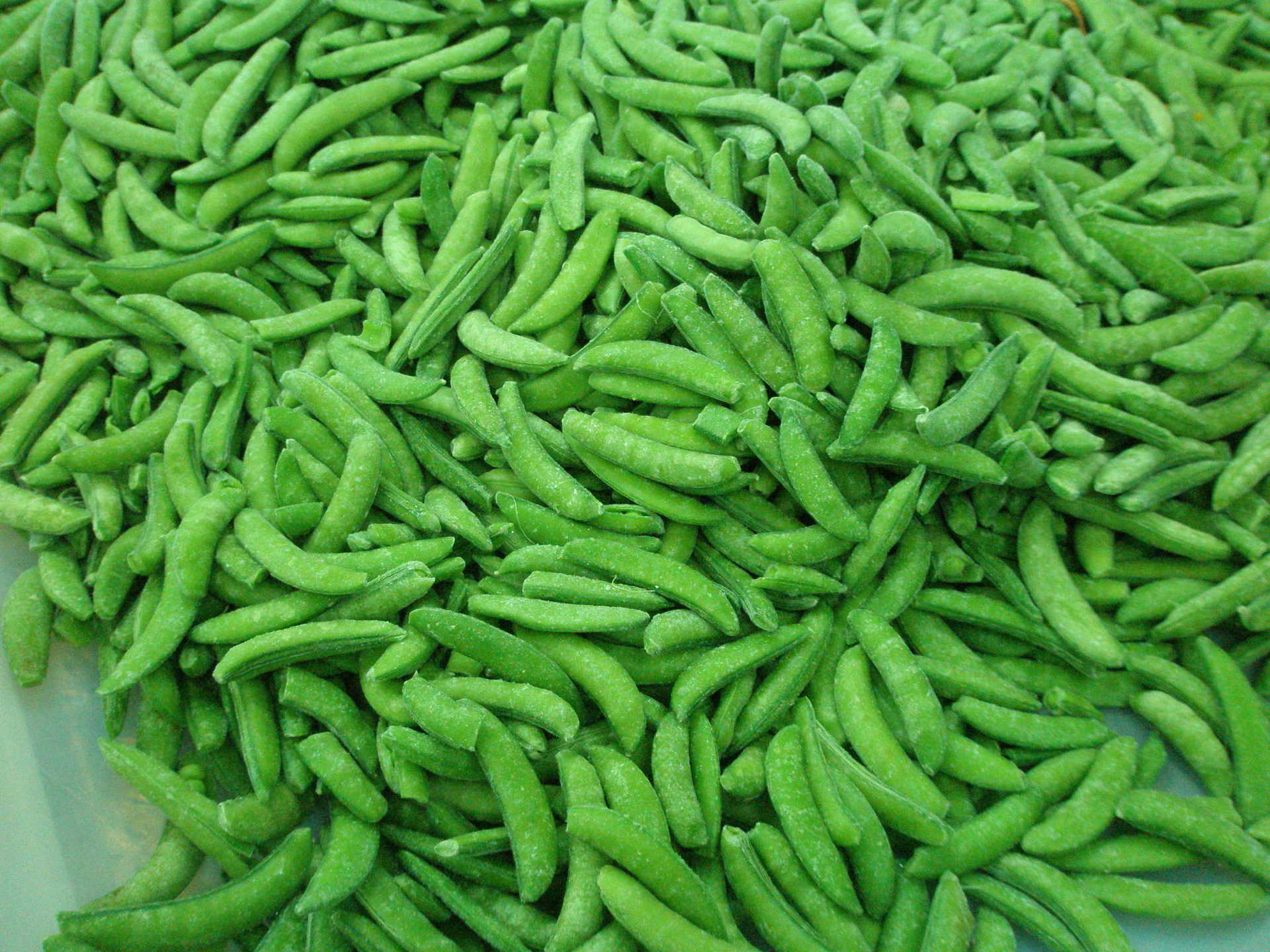 厂家批发供应 冷冻蔬菜出口 速冻甜豌豆 正品 内销一吨起批