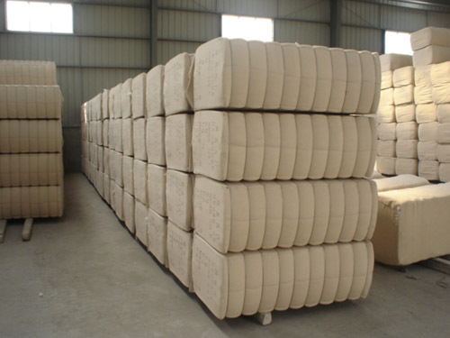 供应皮棉批发销售