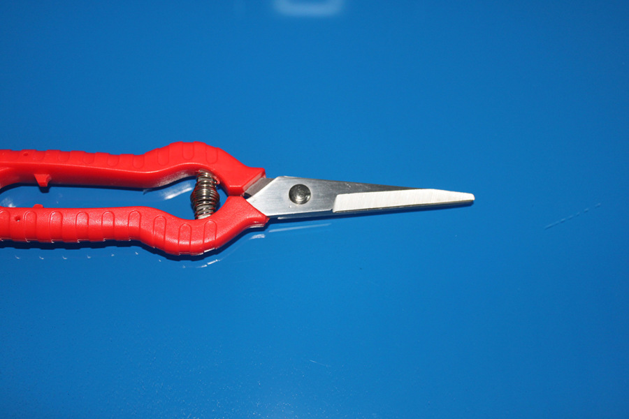 供应jin牌 园林剪刀 厂家直销 大号采果剪 橘子剪 修枝剪刀