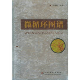 19283微循环图谱 刘育英