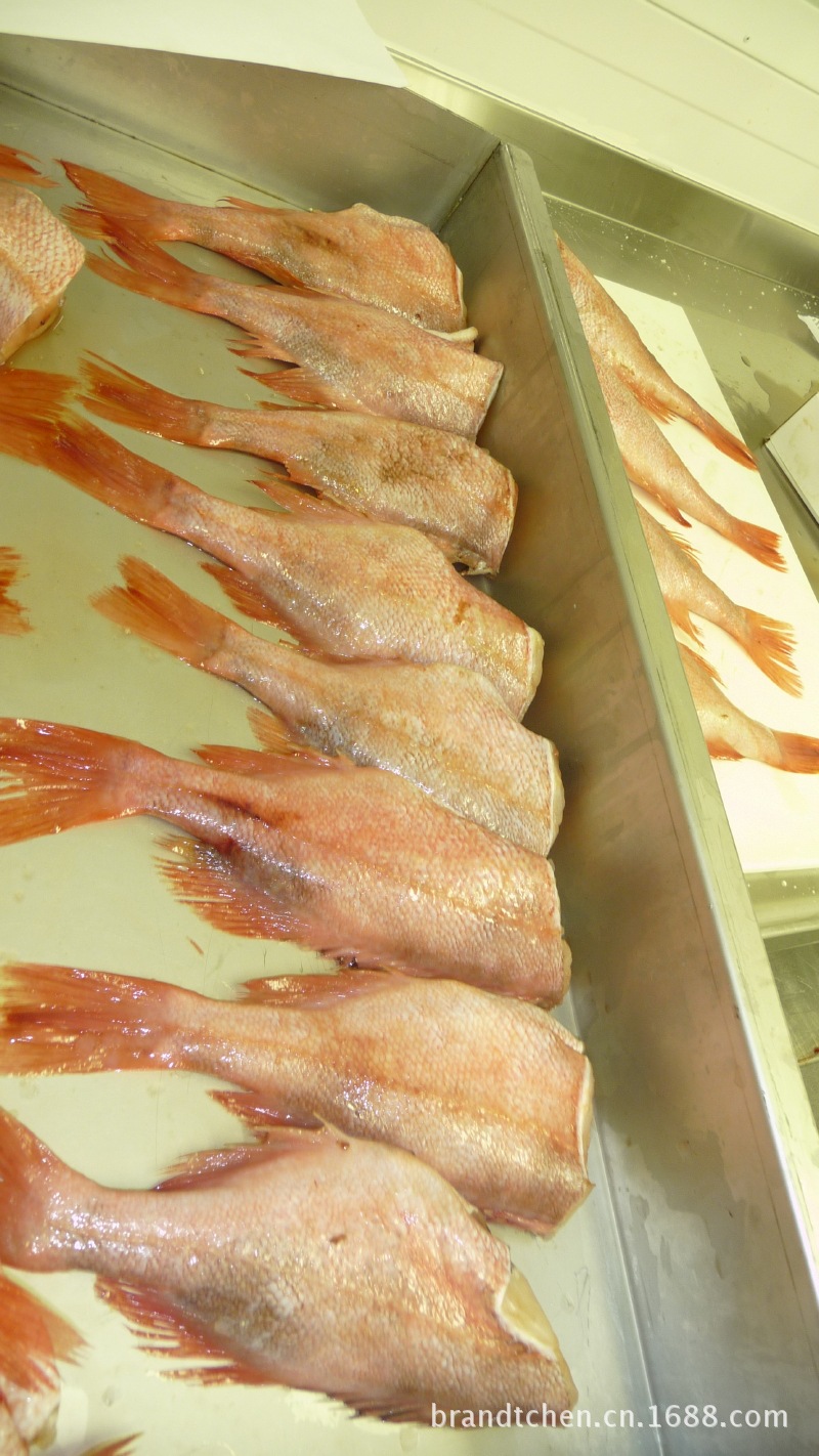 挪威红鱼图片_3