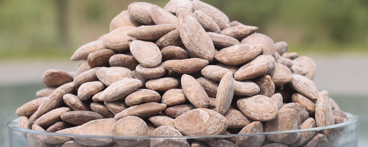 正宗安庆特产 传文天柱山瓜蒌子椒盐味100g 合肥传文瓜子批发