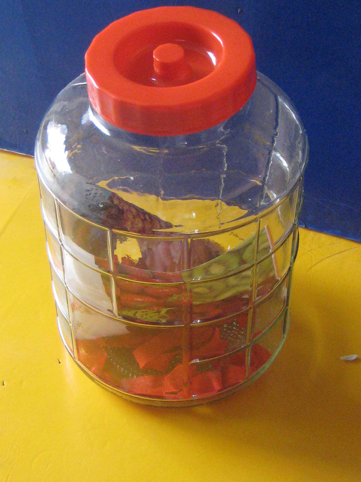 50斤大酒坛 50斤泡酒瓶 发酵瓶 50斤大玻璃瓶