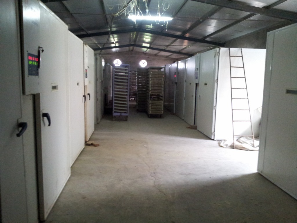 沭阳县顺民家禽孵化场