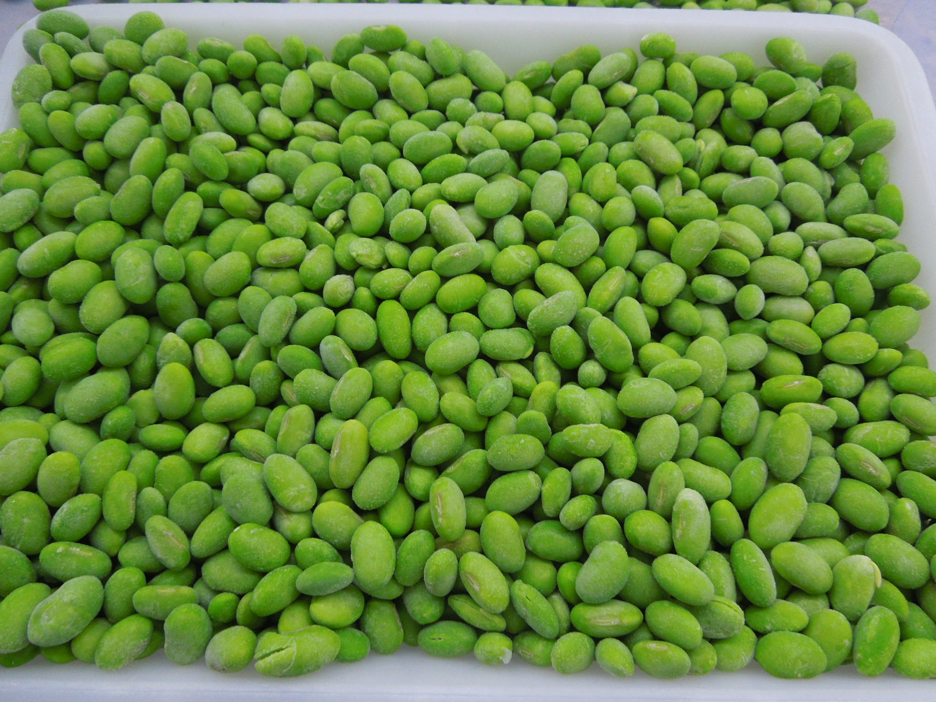 厂家直销 出口速冻食品 绿色果蔬优质新鲜 蒸煮的速冻荷兰豆批发