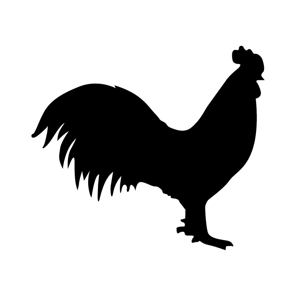 4本黑白卡彩色卡,宝宝 宝宝卡片 认知卡 黑白卡 婴儿黑白卡