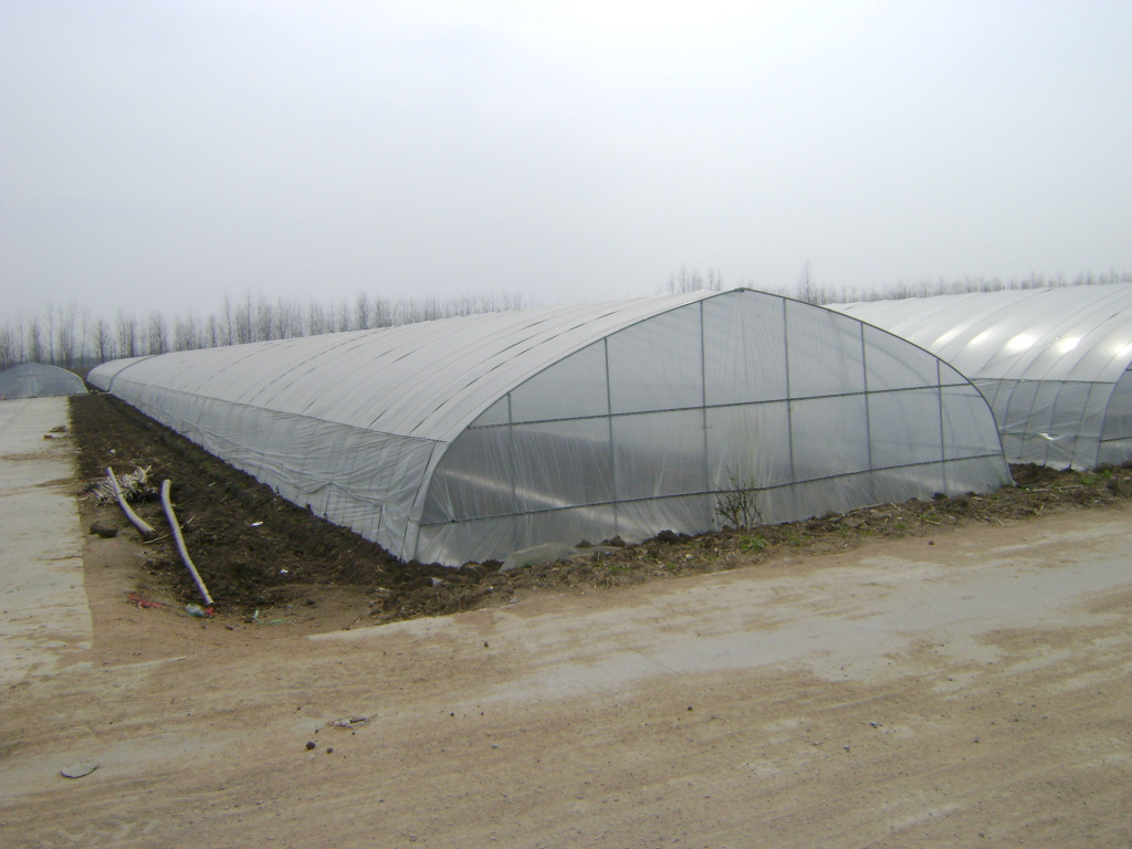 山东,安徽,养鸡温室大棚】价格,厂家,图片,温室,大棚设施,徐州豪特钢