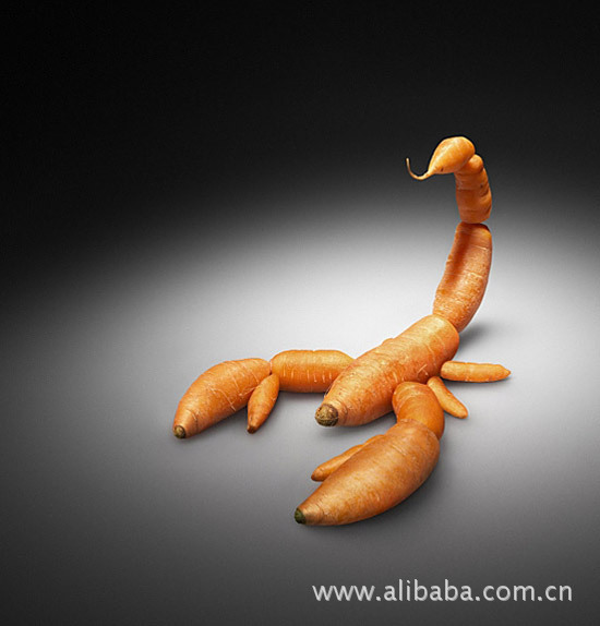 蔬菜的各种创意,特有想象力 pp